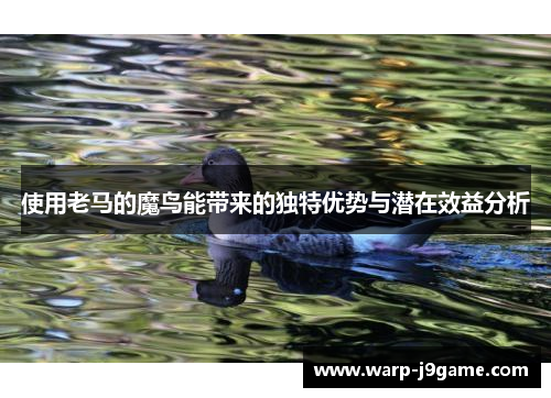 使用老马的魔鸟能带来的独特优势与潜在效益分析