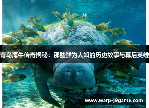 青岛海牛传奇揭秘:那些鲜为人知的历史故事与幕后英雄 青岛海牛传奇揭秘:那些鲜为人知的历史故事与幕后英雄