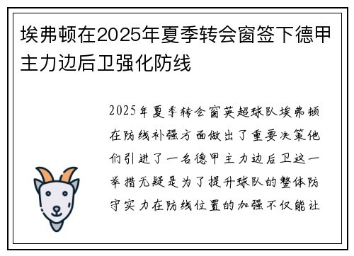 埃弗顿在2025年夏季转会窗签下德甲主力边后卫强化防线 埃弗顿在2025年夏季转会窗签下德甲主力边后卫强化防线